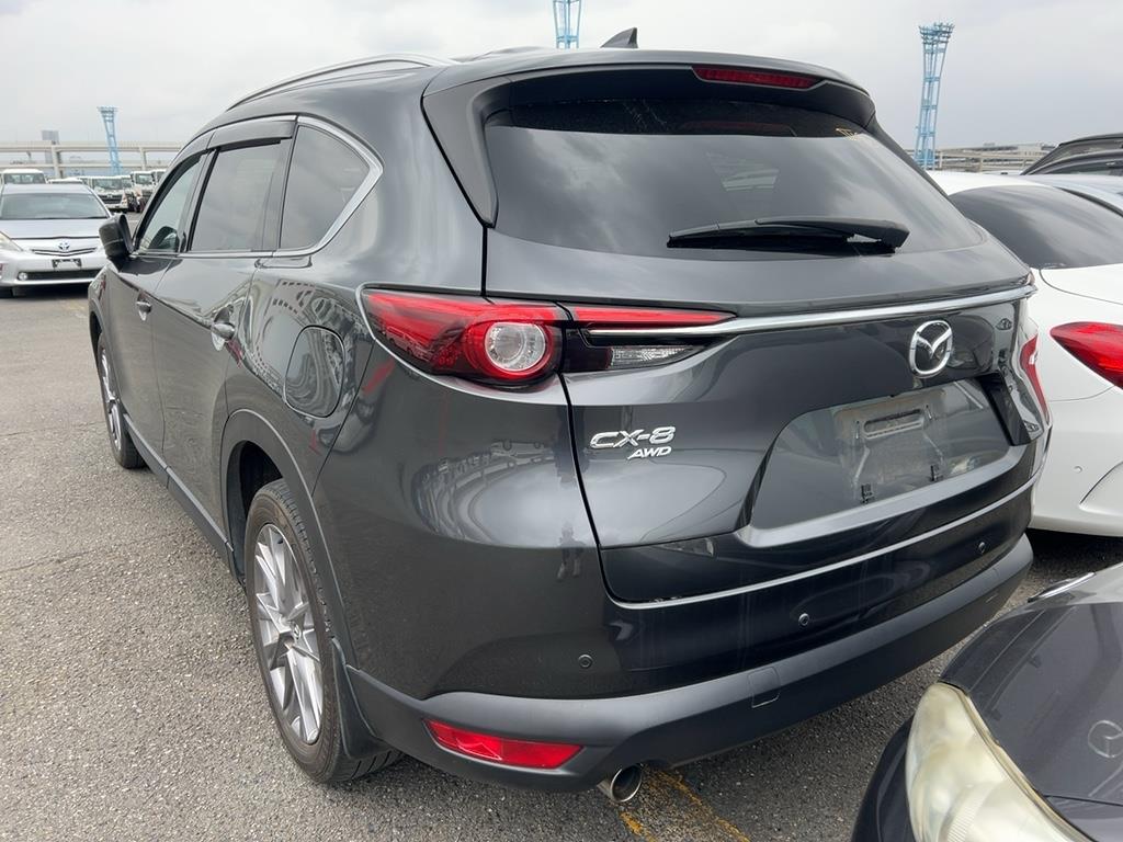 2019 Mazda CX-8